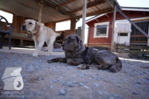 Hutamix-25-03-w24-114