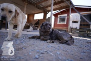 Hutamix-25-03-w24-115