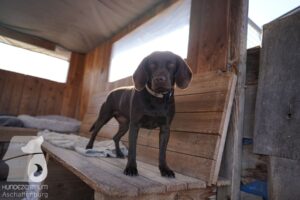 Hutamix-25-03-w24-116