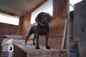 Hutamix-25-03-w24-117