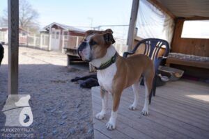 Hutamix-25-03-w24-118