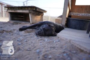 Hutamix-25-03-w24-119