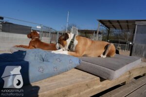 Hutamix-25-03-w24-120