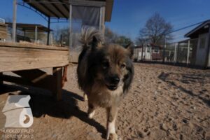 Hutamix-25-03-w24-121