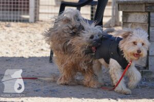 Hutamix-25-03-w24-122