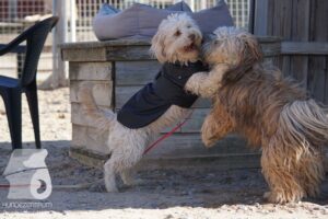 Hutamix-25-03-w24-123