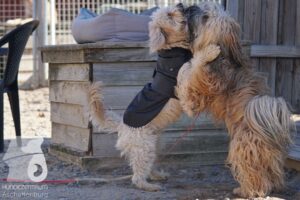 Hutamix-25-03-w24-124