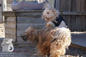 Hutamix-25-03-w24-125