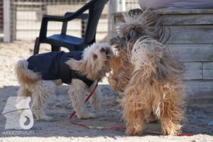 Hutamix-25-03-w24-126