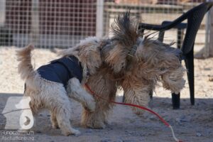 Hutamix-25-03-w24-127