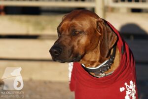 Hutamix-25-03-w24-128