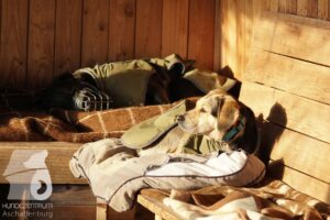 Hutamix-25-03-w24-129