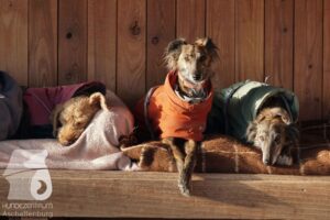 Hutamix-25-03-w24-130