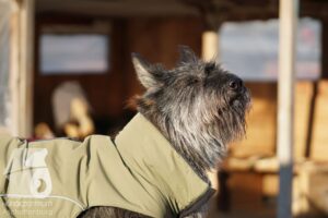 Hutamix-25-03-w24-131