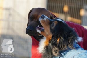 Hutamix-25-03-w24-132