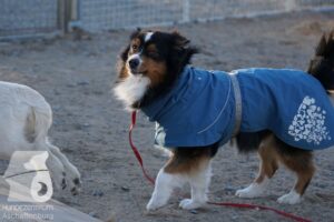 Hutamix-25-03-w24-133