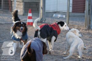 Hutamix-25-03-w24-134