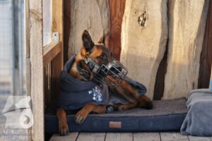 Hutamix-25-03-w24-135