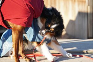 Hutamix-25-03-w24-136