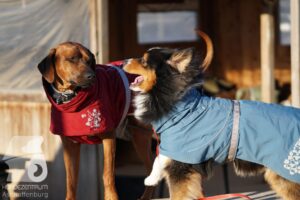 Hutamix-25-03-w24-137