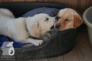 Hutamix-25-03-w24-138