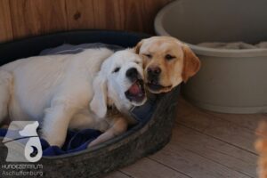 Hutamix-25-03-w24-139