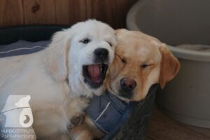 Hutamix-25-03-w24-140