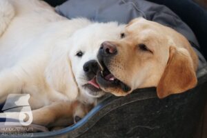 Hutamix-25-03-w24-141