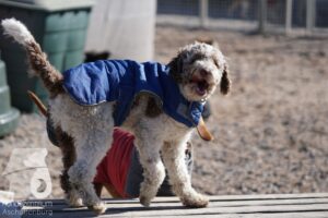 Hutamix-25-03-w24-142