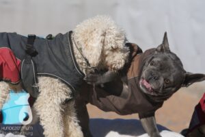 Hutamix-25-03-w24-143