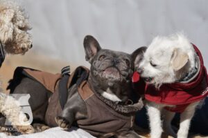 Hutamix-25-03-w24-144