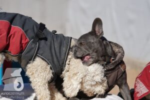 Hutamix-25-03-w24-145