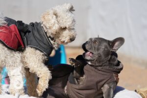 Hutamix-25-03-w24-146