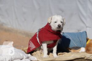 Hutamix-25-03-w24-147