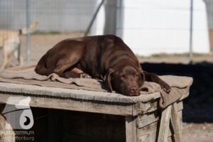 Hutamix-25-03-w24-148