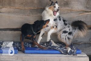 Hutamix-25-03-w24-149