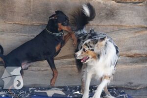 Hutamix-25-03-w24-150