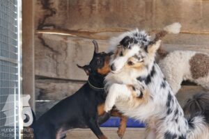 Hutamix-25-03-w24-151