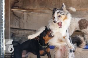 Hutamix-25-03-w24-152