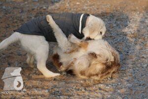 Hutamix-25-03-w24-153