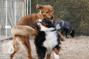 Hutamix-25-03-w24-154