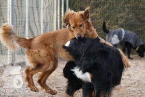 Hutamix-25-03-w24-155