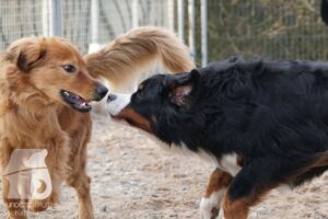 Hutamix-25-03-w24-156