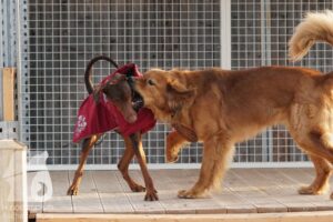 Hutamix-25-03-w24-157