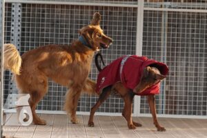 Hutamix-25-03-w24-158