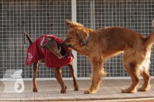 Hutamix-25-03-w24-159