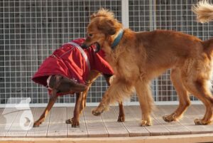 Hutamix-25-03-w24-160