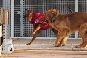 Hutamix-25-03-w24-161