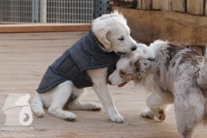 Hutamix-25-03-w24-162