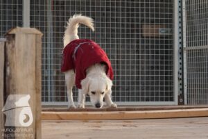 Hutamix-25-03-w24-163